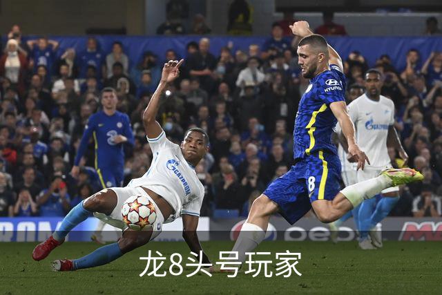 龙8头号玩家公司介绍